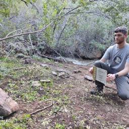 Servicing camera traps